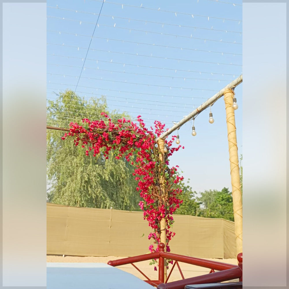 ديكور زهور البوغنفيليا للعرض فقط (غير معروض للبيع)