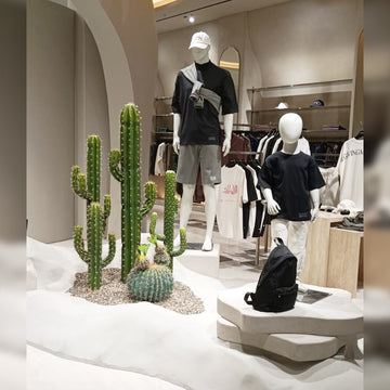 Cactus Decoration for Shop Display for display purposes only (non-sale)