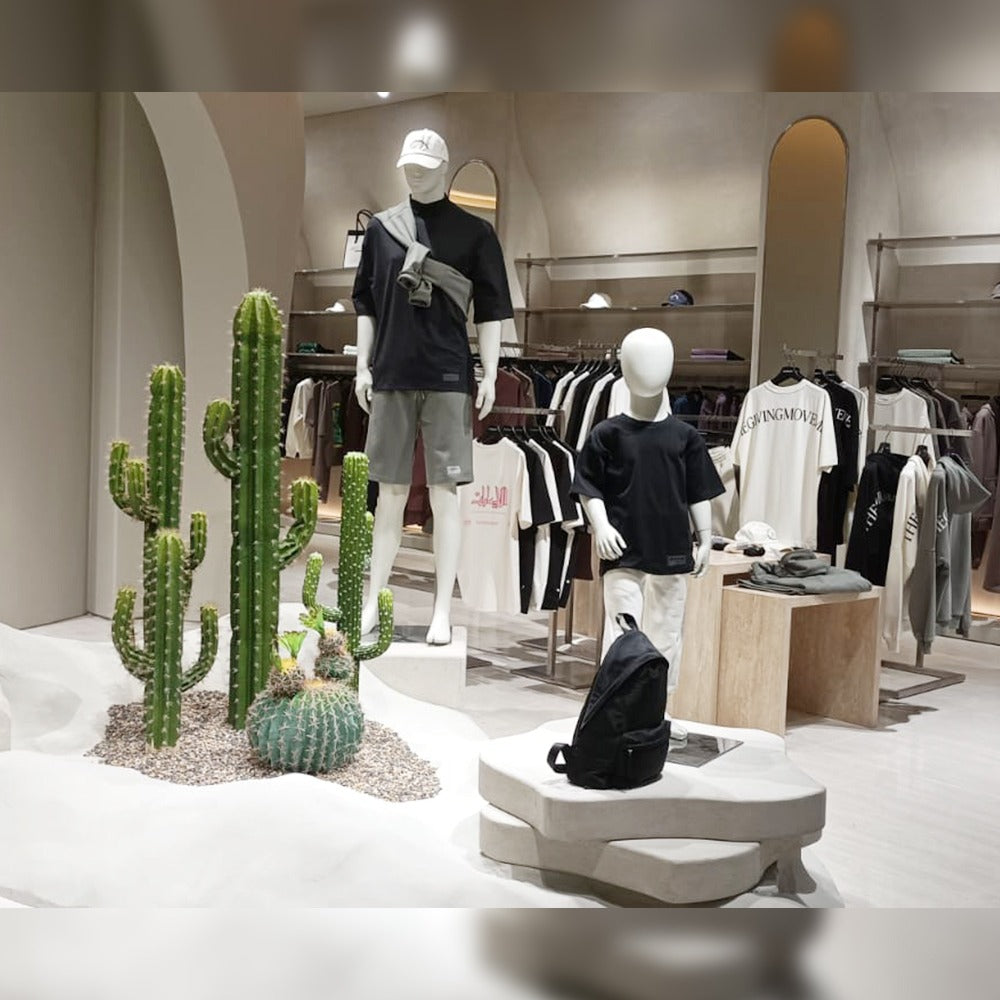 Cactus Decoration for Shop Display for display purposes only (non-sale)