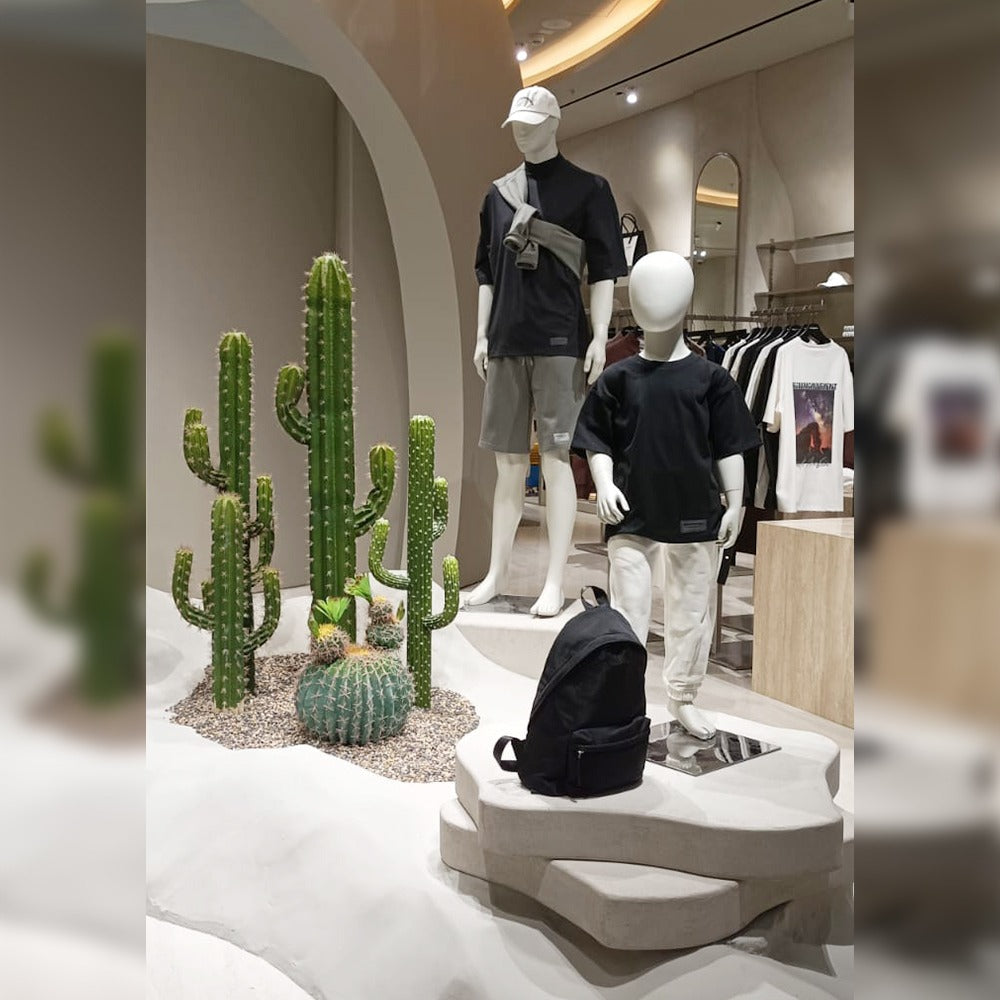 Cactus Decoration for Shop Display for display purposes only (non-sale)