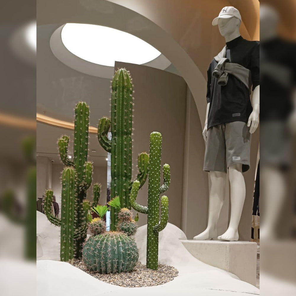 Cactus Decoration for Shop Display for display purposes only (non-sale)