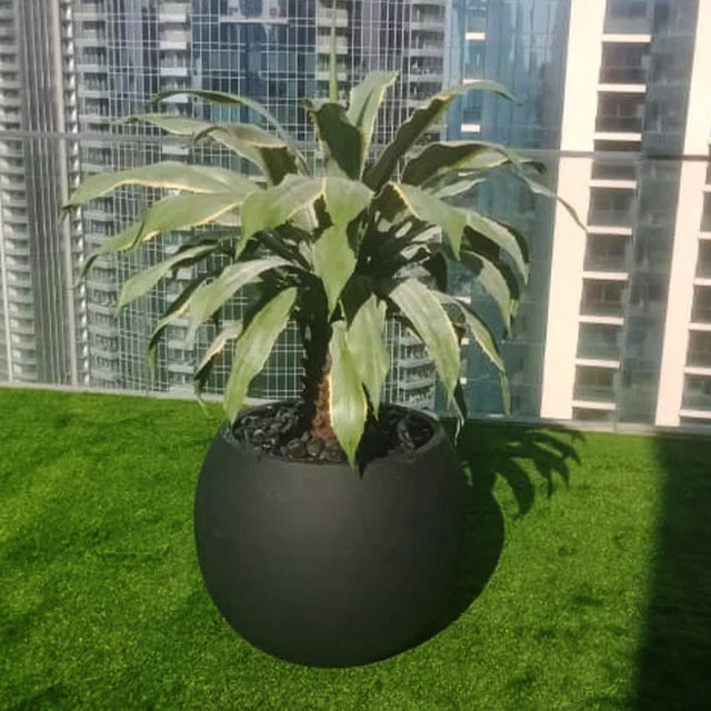 تنسيقات جدار أخضر + مناظر طبيعية بالصبار للعرض فقط (غير معروض للبيع)