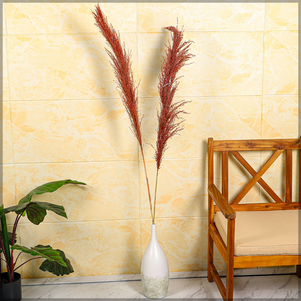 ساق واحدة من عشب البامبا المجفف الطبيعي (بدون مزهرية)