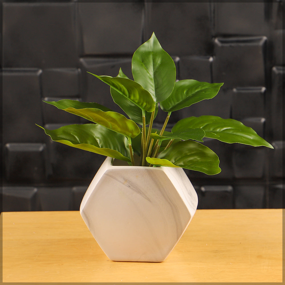 Artificial Evergreen Leaves(without vase)