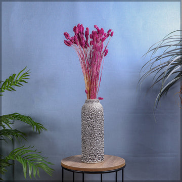 عشب الفالاريس المجفف (بدون مزهرية)