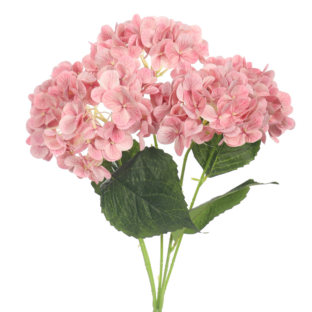 زهرة كوبية طبيعية ثلاثية الأبعاد (بدون مزهرية)