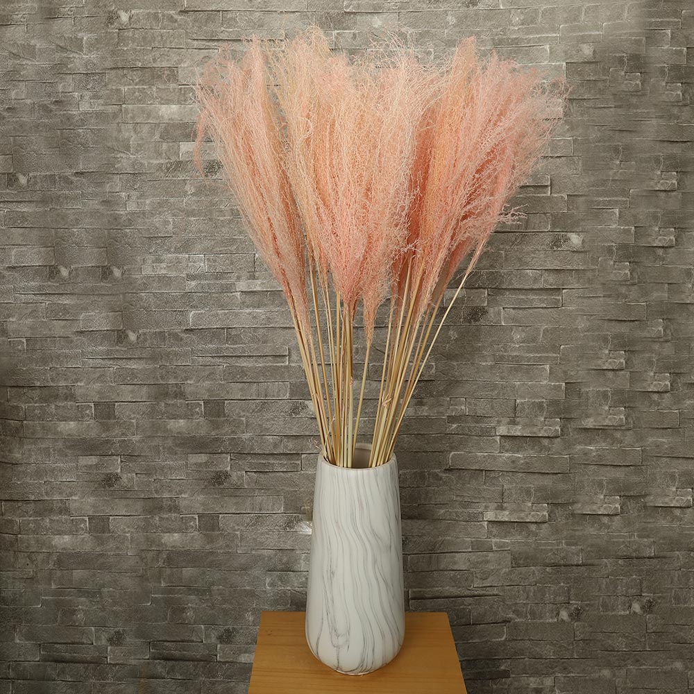 عشب بامبا محفوظ طبيعي (بدون مزهرية)