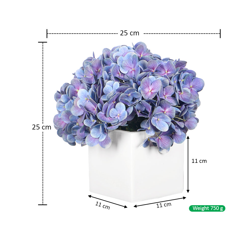 تنسيق كوبية عصري في مزهرية مكعبة بيضاء
