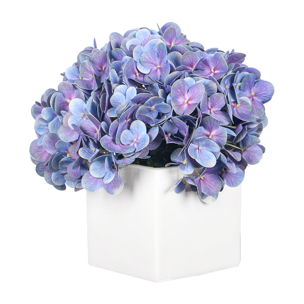 تنسيق كوبية عصري في مزهرية مكعبة بيضاء