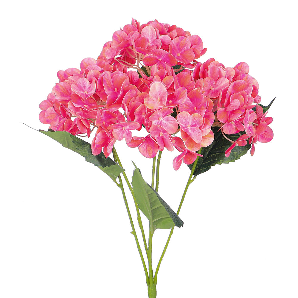 زهرة كوبية طبيعية ثلاثية الأبعاد (بدون مزهرية)