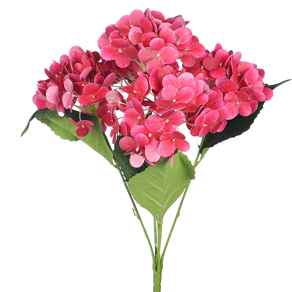 زهرة كوبية طبيعية ثلاثية الأبعاد (بدون مزهرية)