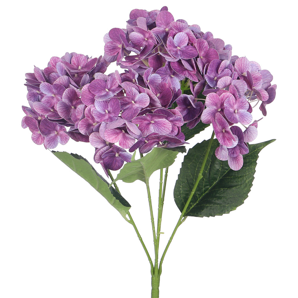 زهرة كوبية طبيعية ثلاثية الأبعاد (بدون مزهرية)
