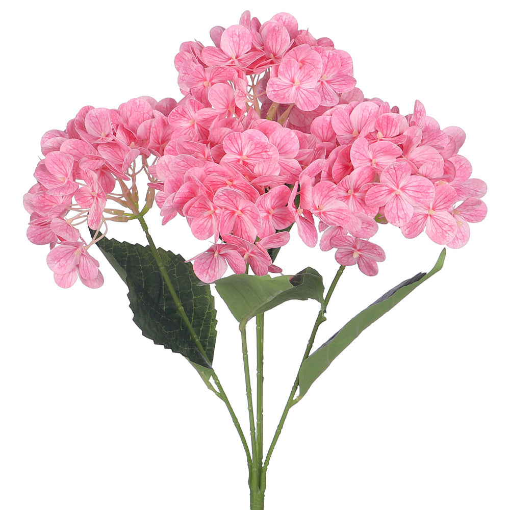 زهرة كوبية طبيعية ثلاثية الأبعاد (بدون مزهرية)