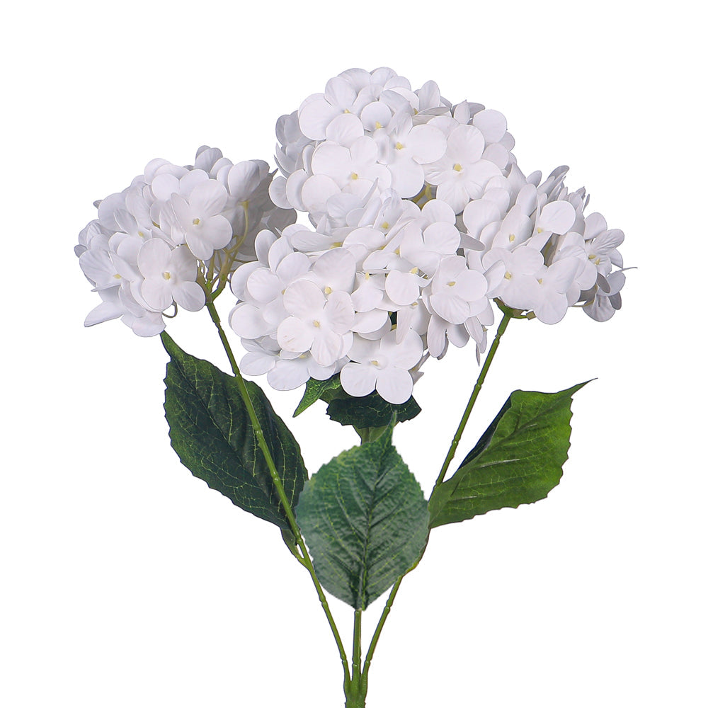زهرة كوبية طبيعية ثلاثية الأبعاد (بدون مزهرية)