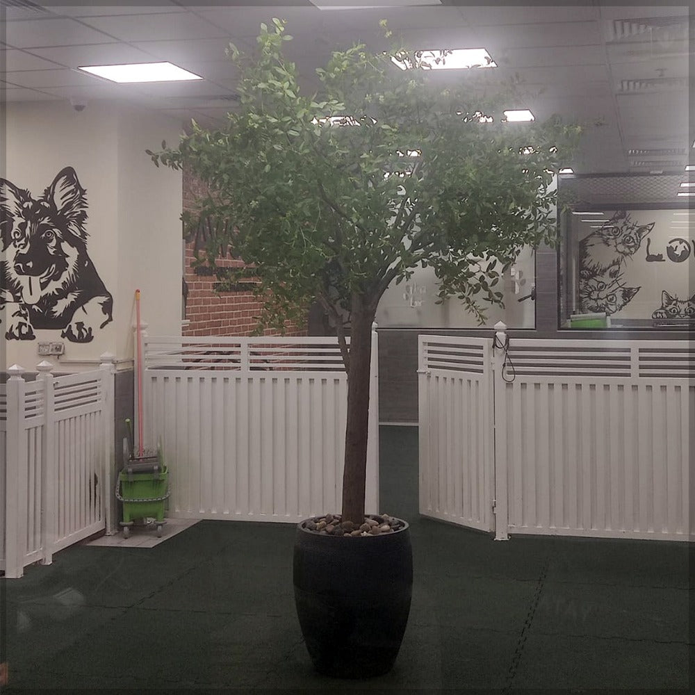 صناعة نباتات صناعية للديكور أو للعرض فقط (غير معروضة للبيع)
