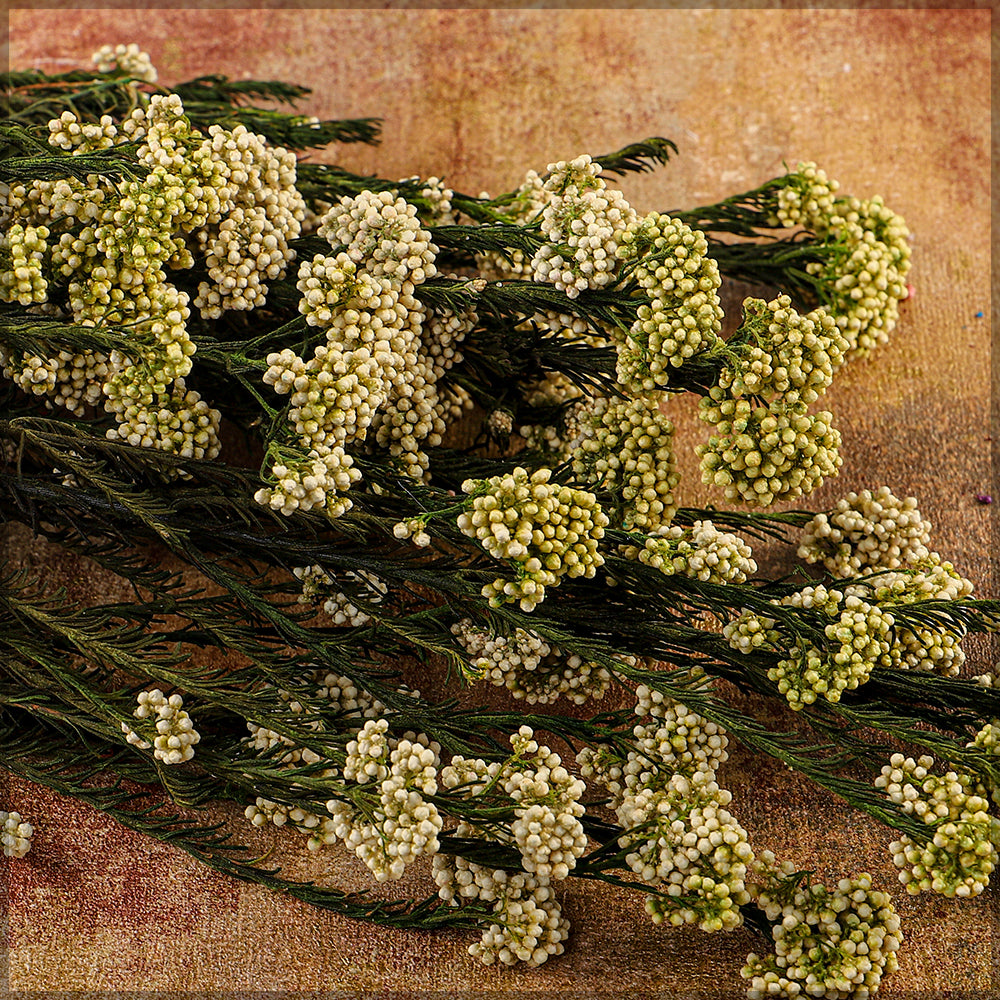باقة زهور الأرز المحفوظة (بدون مزهرية)