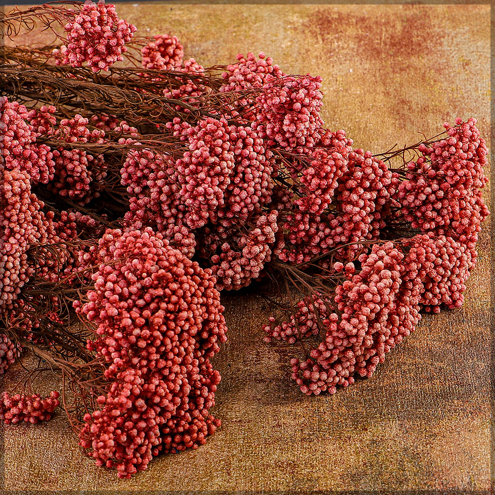 باقة زهور الأرز المحفوظة (بدون مزهرية)