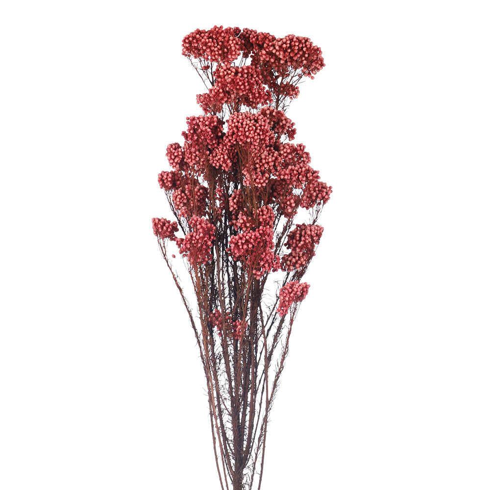 باقة زهور الأرز المحفوظة (بدون مزهرية)