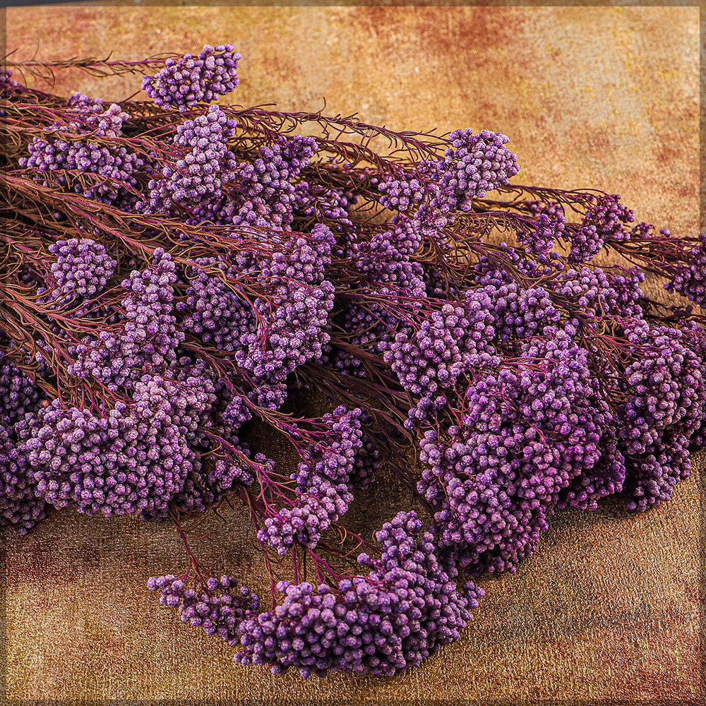 باقة زهور الأرز المحفوظة (بدون مزهرية)