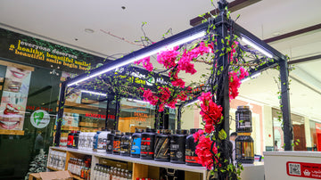 Shop Flower Decoration for display purposes only (non-sale)