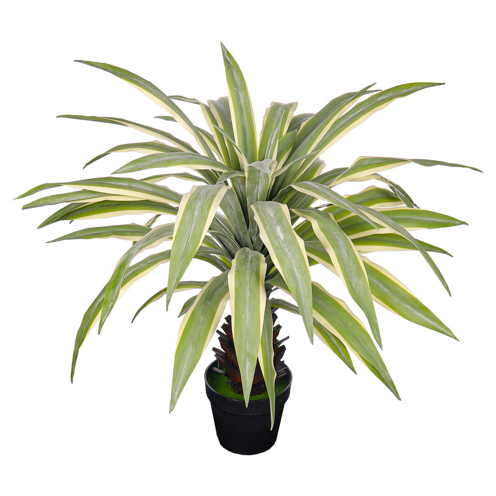 Artificial Yucca Pallida Plant